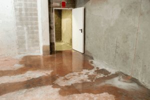 Image of backflow water in a concrete doorway