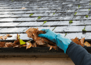 Blue gloved hand cleaning leaves from gutter